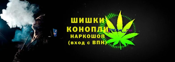 apvp Рославль