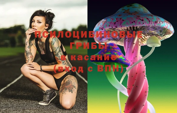 герыч Ростов