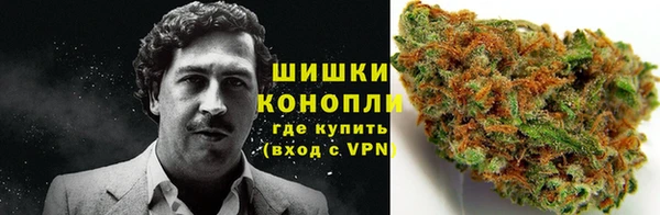 ГАЛЛЮЦИНОГЕННЫЕ ГРИБЫ Весьегонск